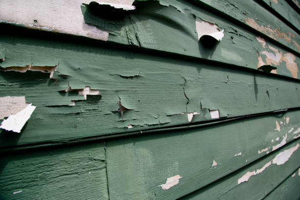 Affordable Siding Repair and Maintenance Services in San Lorenzo, CA